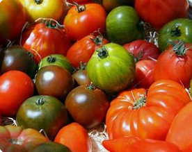 Tomates mélangées  (kg)
