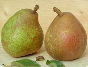 Poires doyenné  (kg)