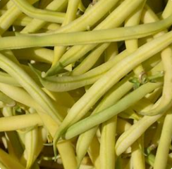 Haricots jaunes  (kg)