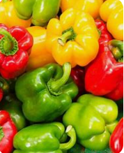 Poivrons mélangés  (kg)