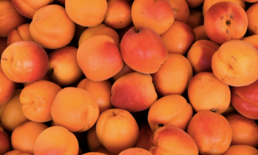Abricots  (kg)