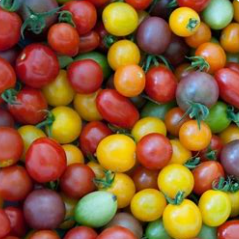 Tomates cerise en mélange  (kg)