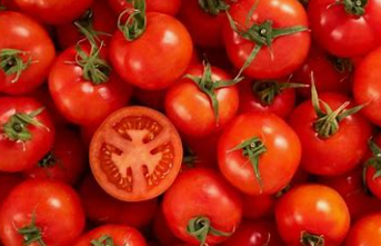 Tomates rouges  (kg)