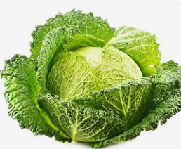 Chou vert  (pc)