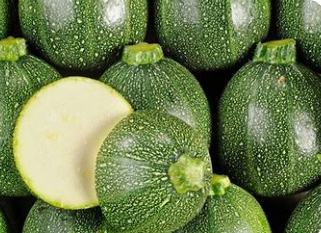 Courgettes rondes vertes  (kg)