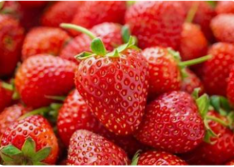 Fraises  (* 500gr)