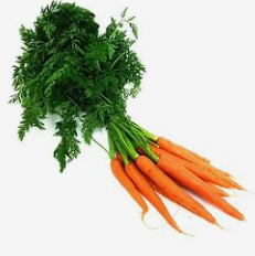 Carottes en botte  (pc)
