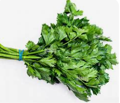 Céleri vert bouquet  (pc)