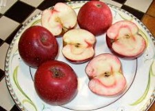 Pomme Reinette étoilée  (kg)