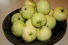 Pommes d'août (à compote)  (kg)